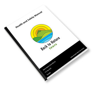 Business manuals design