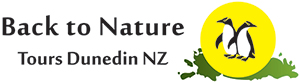 Logo horizontal Horizontal variation logo