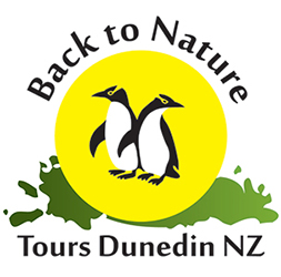 Logo Tourism Operator Logo BTN Tours Dunedin