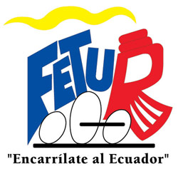 Logo & Branding Fetur