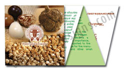 Product manual design Brochure design